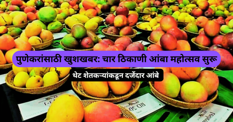 पुणेकरांसाठी खुशखबर चार ठिकाणी आंबा महोत्सव सुरू