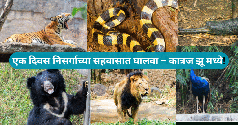 एक दिवस निसर्गाच्या सहवासात घालवा – कात्रज झू मध्ये!