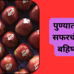 पुण्यात तुर्की सफरचंदावर बहिष्कार