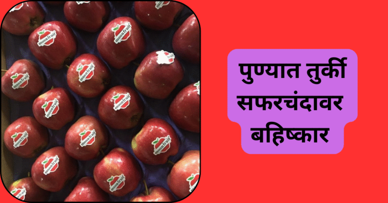 पुण्यात तुर्की सफरचंदावर बहिष्कार