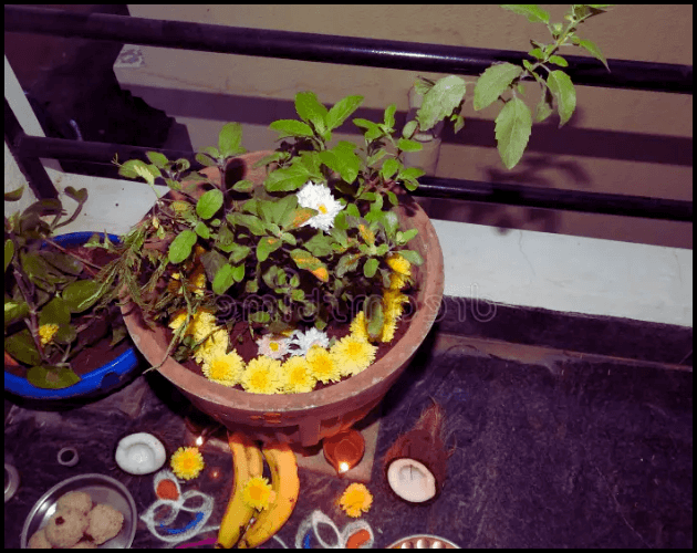 तुळशी विवाह 2025 कधी आहे