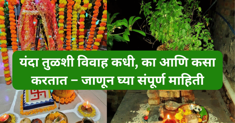 तुळशी विवाह का आणि कसा करतात