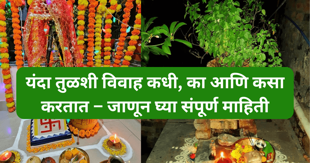 तुळशी विवाह का आणि कसा करतात