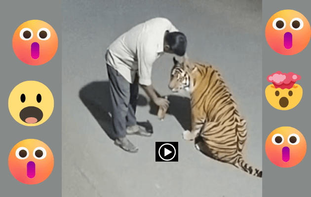 @aikalaakari” - fake AI video