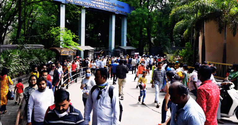 katraj-zoo-ticket-hike-new-snake-park-update