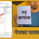 सर्वे नंबर vs गट नंबर